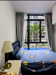 La Fiesta (D19), Condominium #479174201